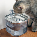 NightKitty™ Pet Auto Water Dispenser
